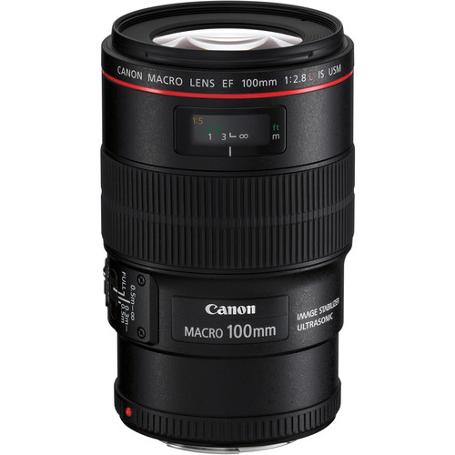 Canon EF 100mm Macro USM lens